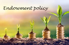 Endowment Policy